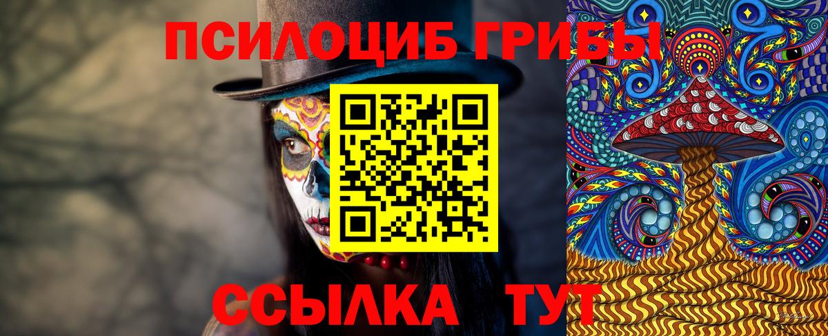 Псилоцибиновые грибы Cubensis Курчалой
