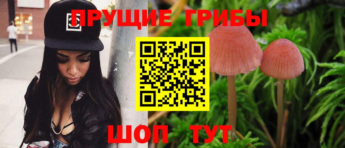 Галлюциногенные грибы GOLDEN TEACHER  Вход с VPN  Курчалой 